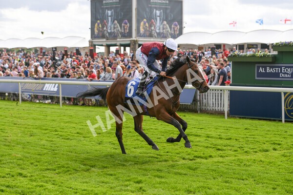 yr21052022r5-23 - Race 5: 4:07pm Phoebe Johnson Celebration EBF Restricted Novice Stakes