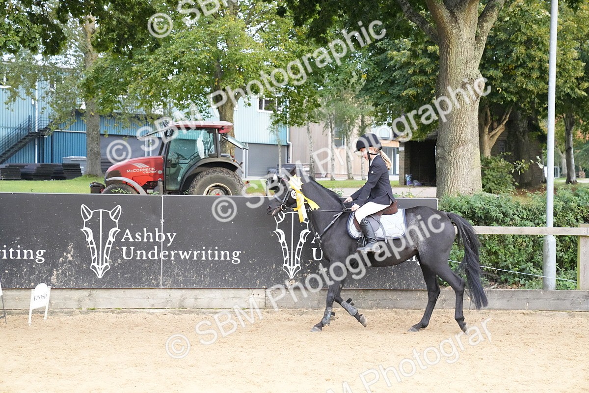 SBM_74960 - J4 - Mini Tour Junior Pony 45cm Championship