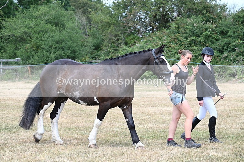 WJ7_1806 - Class 4a Prettiest Mare 14.2hh and over hand