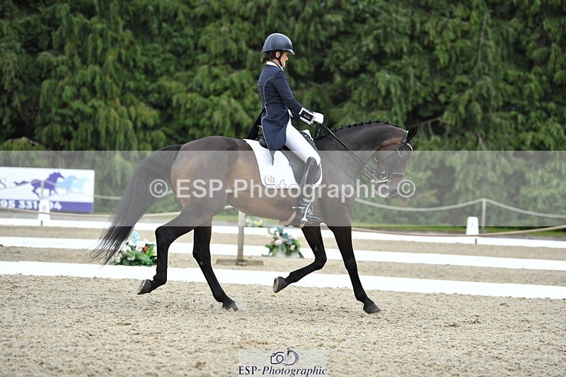 230812-143209-04727 - Cls 7 FEI PSG Bronze