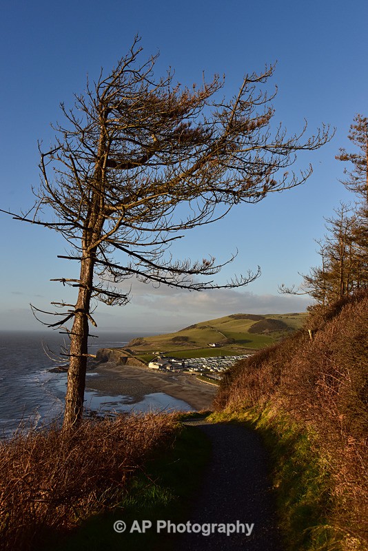 ACP_6061-1 - Clarach to Constitution Hill