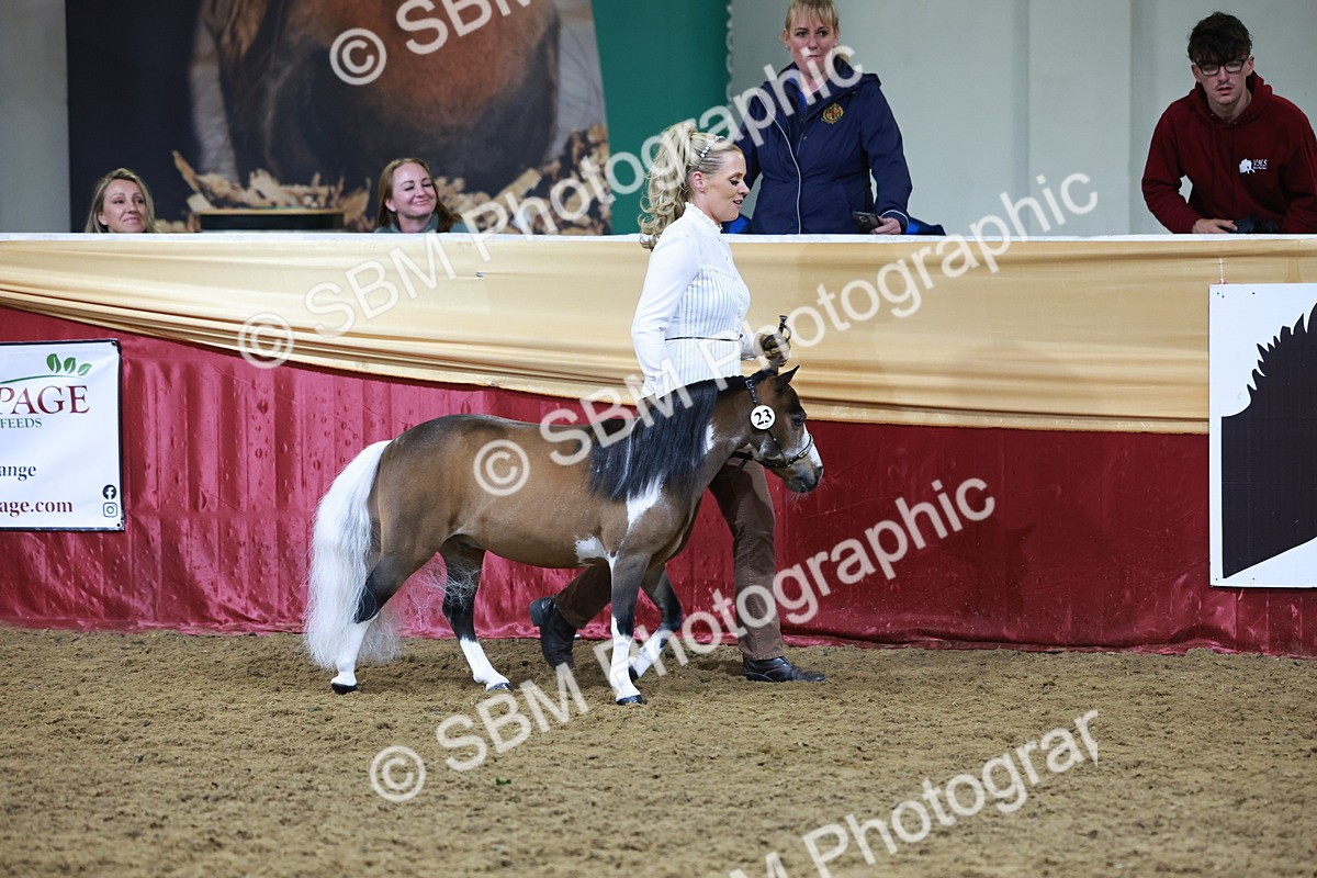 SBM_20416 - Class F - IH Small (148cm & Under)Champ