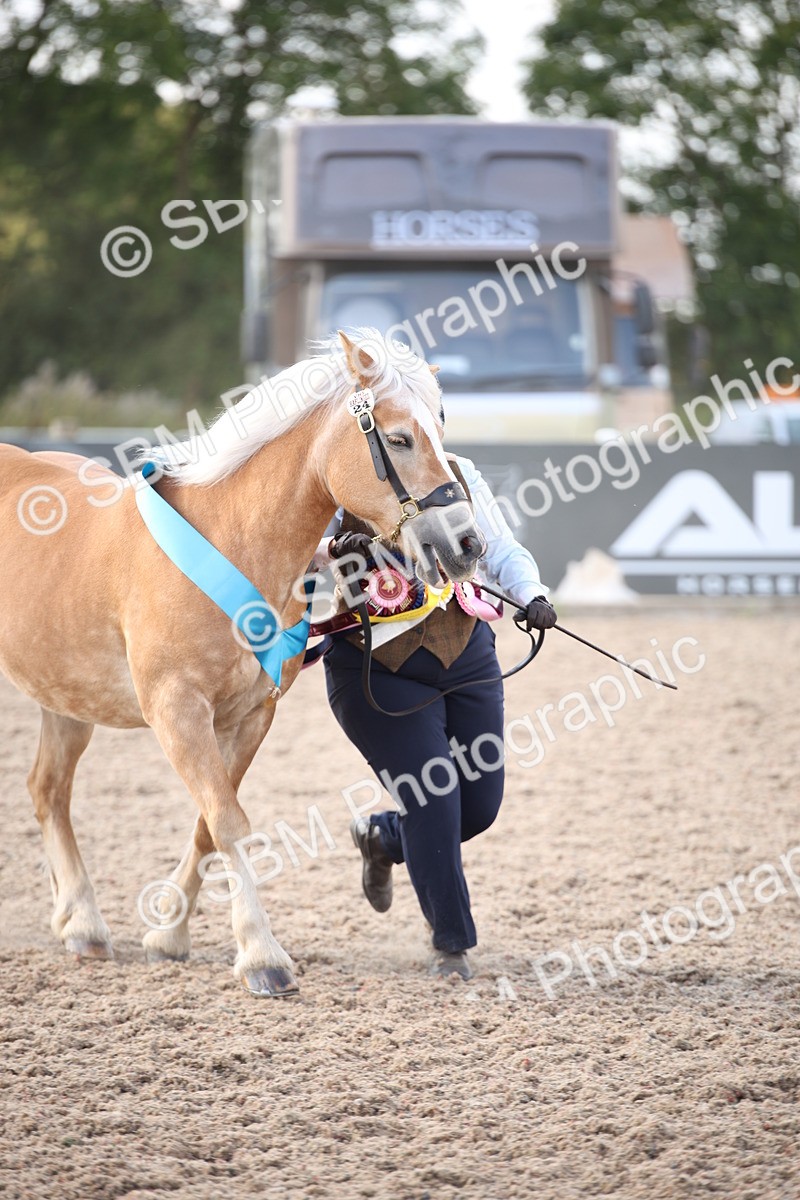 SBM_07148 - Class 25 IH Foreign Breeds- Pure bred