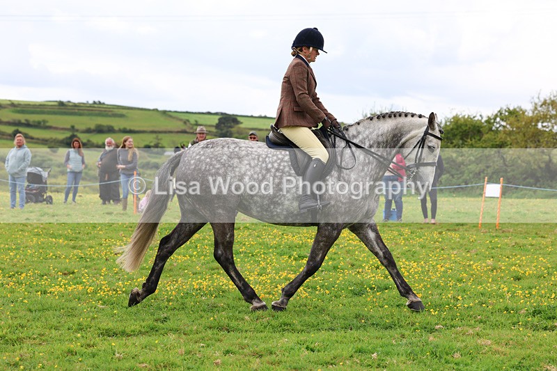 3E7A1293 - Class 7: Ridden Hunter Type