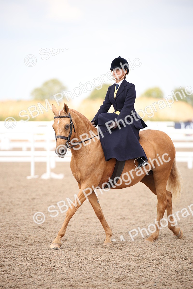 SBM_06776 - Class 24 Concours d'elegance