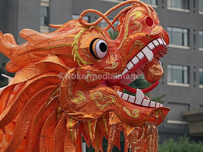 CHINA__0432 - China 2019