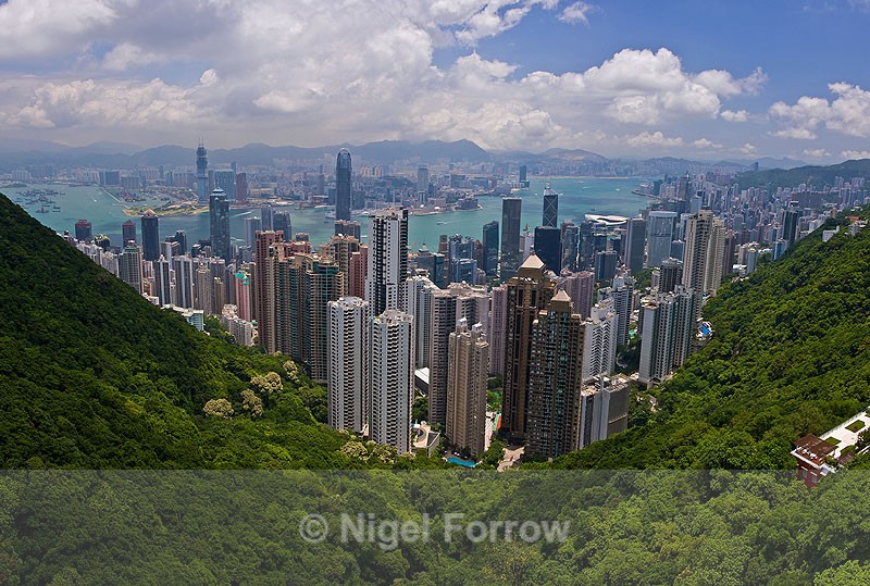 Hong Kong Harbour from Victoria Peak - China