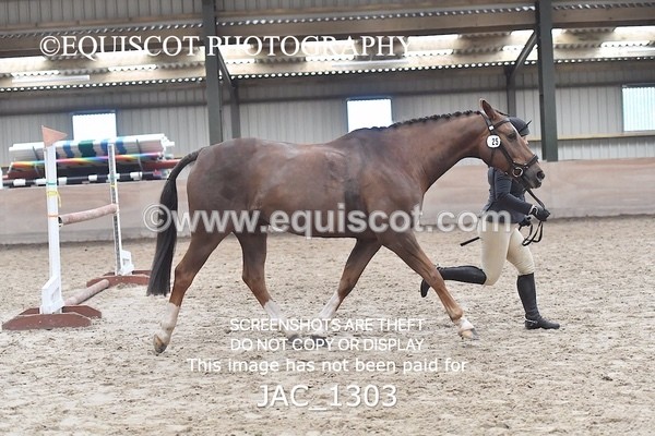 JAC_1303 - CLASS 8 BHS Scotland Riding Club Working Hunter Qualifier (1.00m)