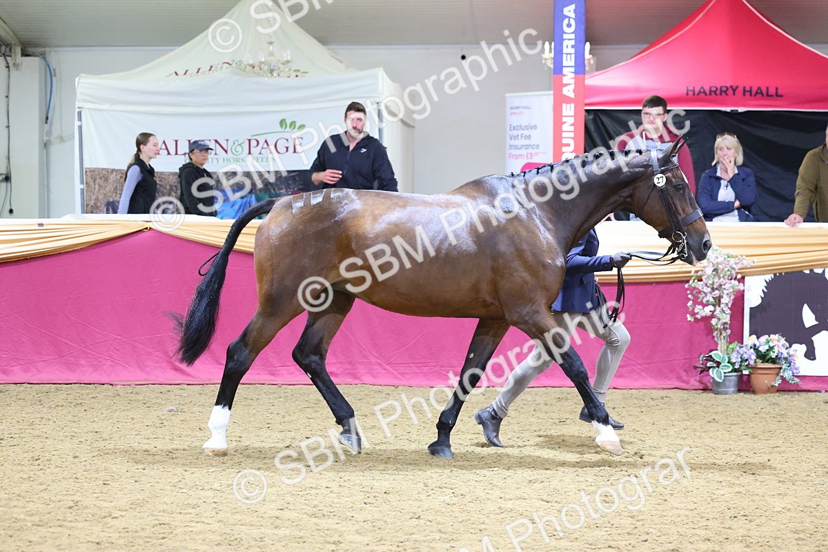 SBM_19622 - Class 901 - Supreme Final - IH Diamond