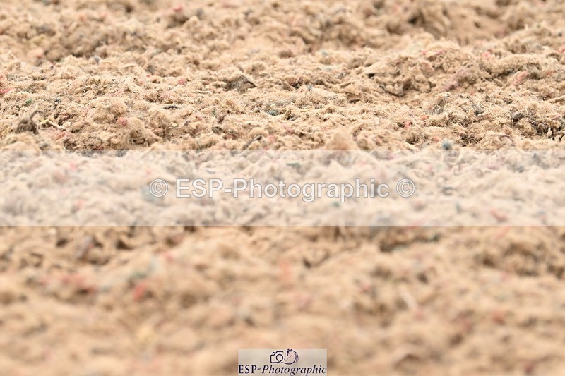 240623A-150439-19500 - Cls 51 BD Elementary 53