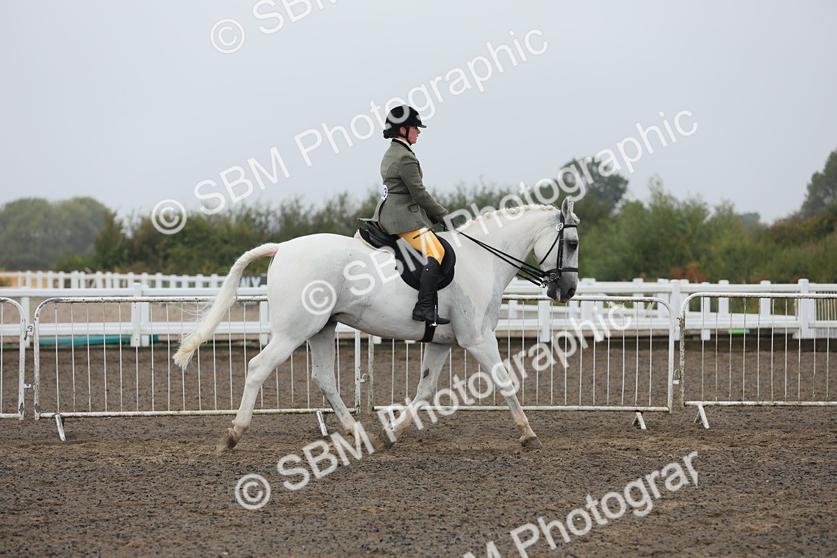 SBM_21232 - Class 805 - Ridden Veteran Horse