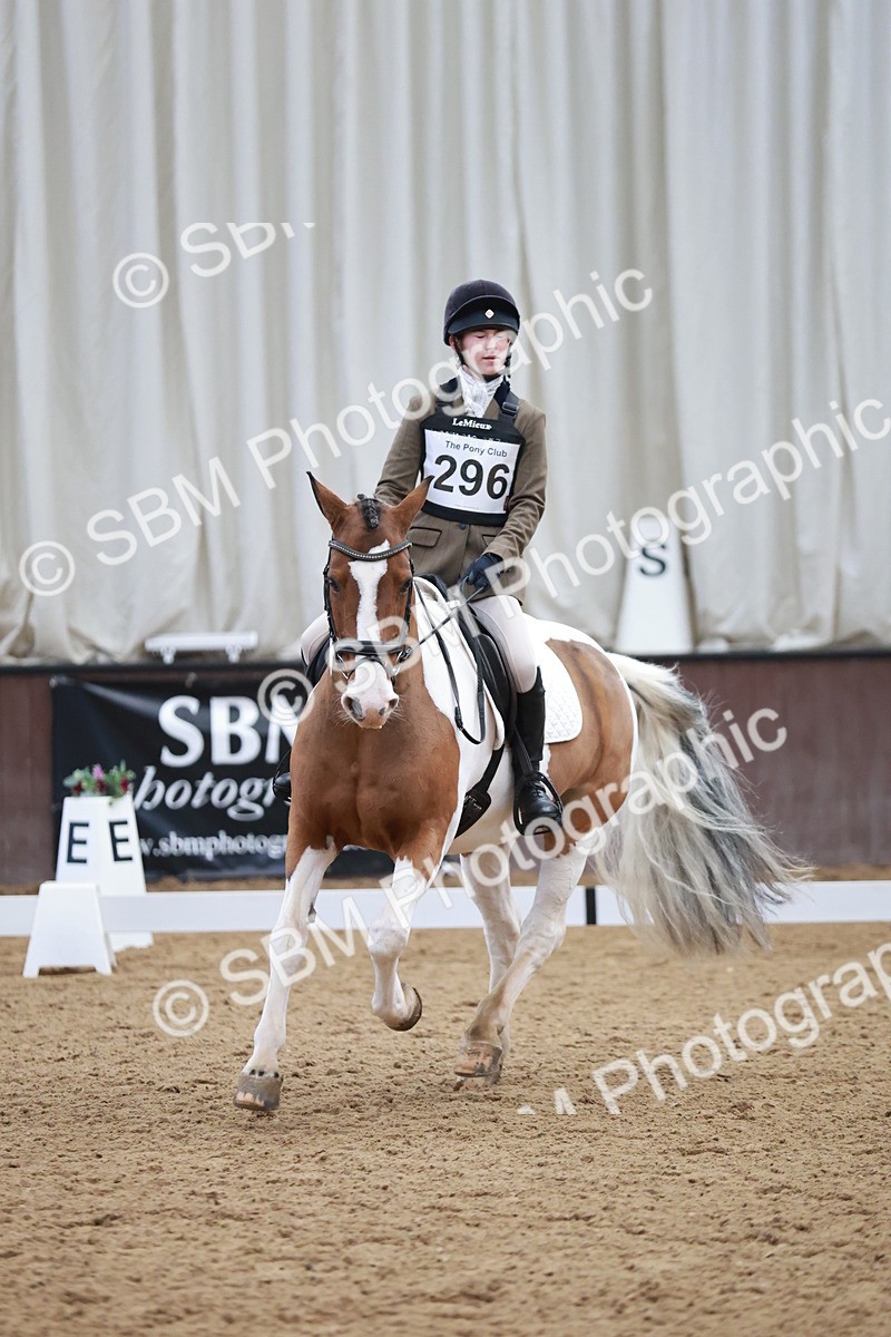 SBM_003943 - Class 2 - Novice 2020