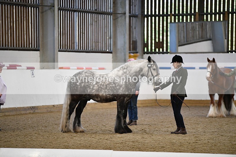 WJ5_5514 - Class 8 In hand cob