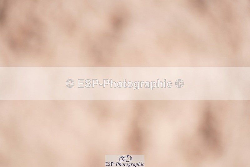 240728A-134440-09240 - Cls 26 NAF Silver Jump Off and Presentations