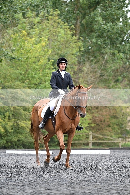 WJ7_7247 - Time 12:53 to 13:18