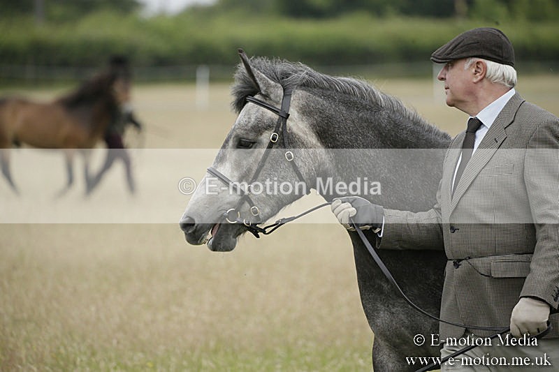 B230619-0032 - Bourne Valley Riding Club Summer Show 23/06/19