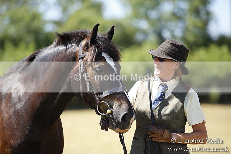 _C7A0080 - BVRC Sow 2018 Ring 2