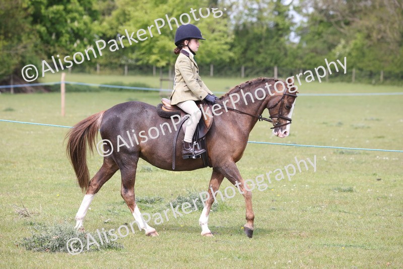 20260426-2896 - Class 33 - Best Pony 14.2hh and Under