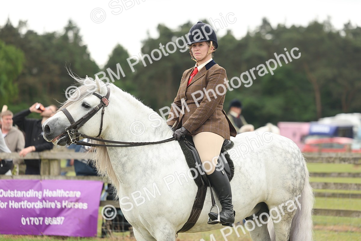 SBM_08992 - Class 78-80 - Ridden M&M Non Welsh Ponies