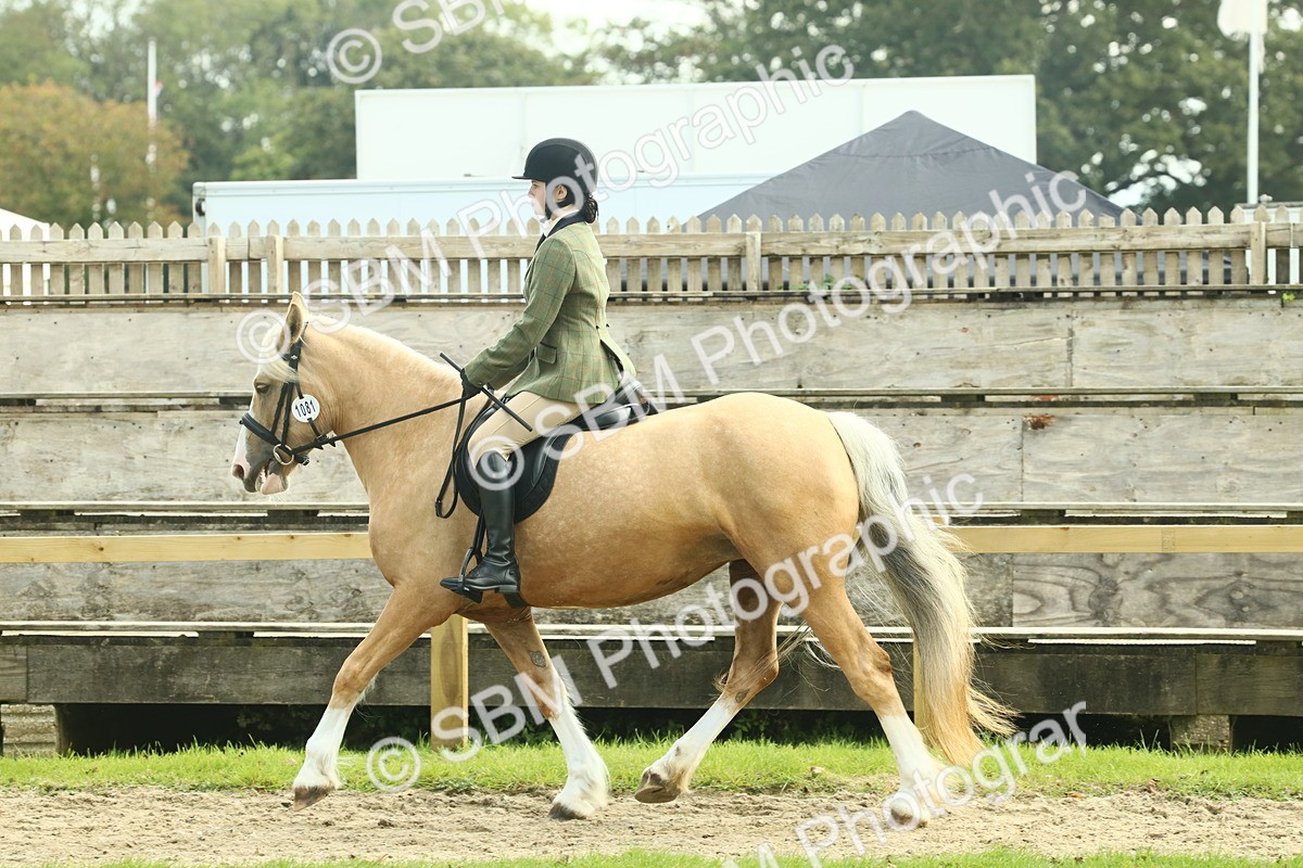 SBM_62595 - S63 - Other Coloured Horse Ridden