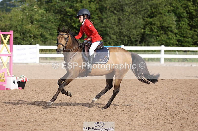 240629A-084801-02724 - Cls 16 British Novice and 80cm Open