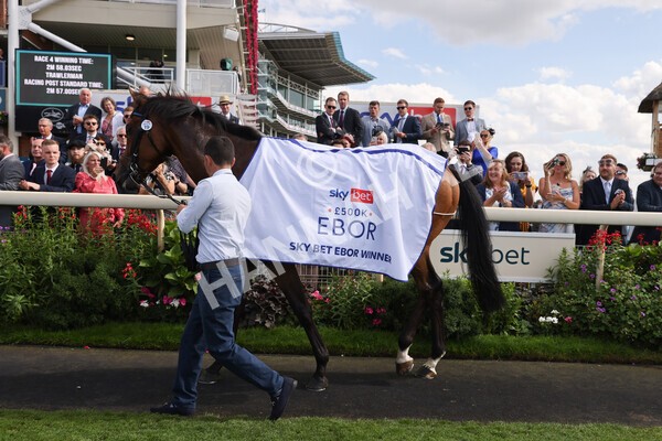 yr20082022r4-258 - Race 4 3.35pm Sky Bet Ebor