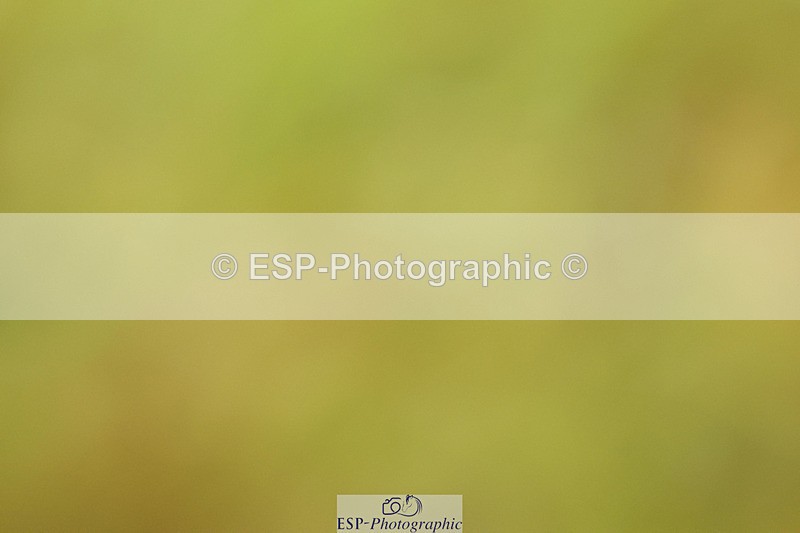 240824X-084937-21878 - D70 Section C and D 8.30 to 9.30