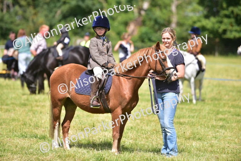 20260614-1226 - Class 11a - Lead Rein Pony (Unplaited)