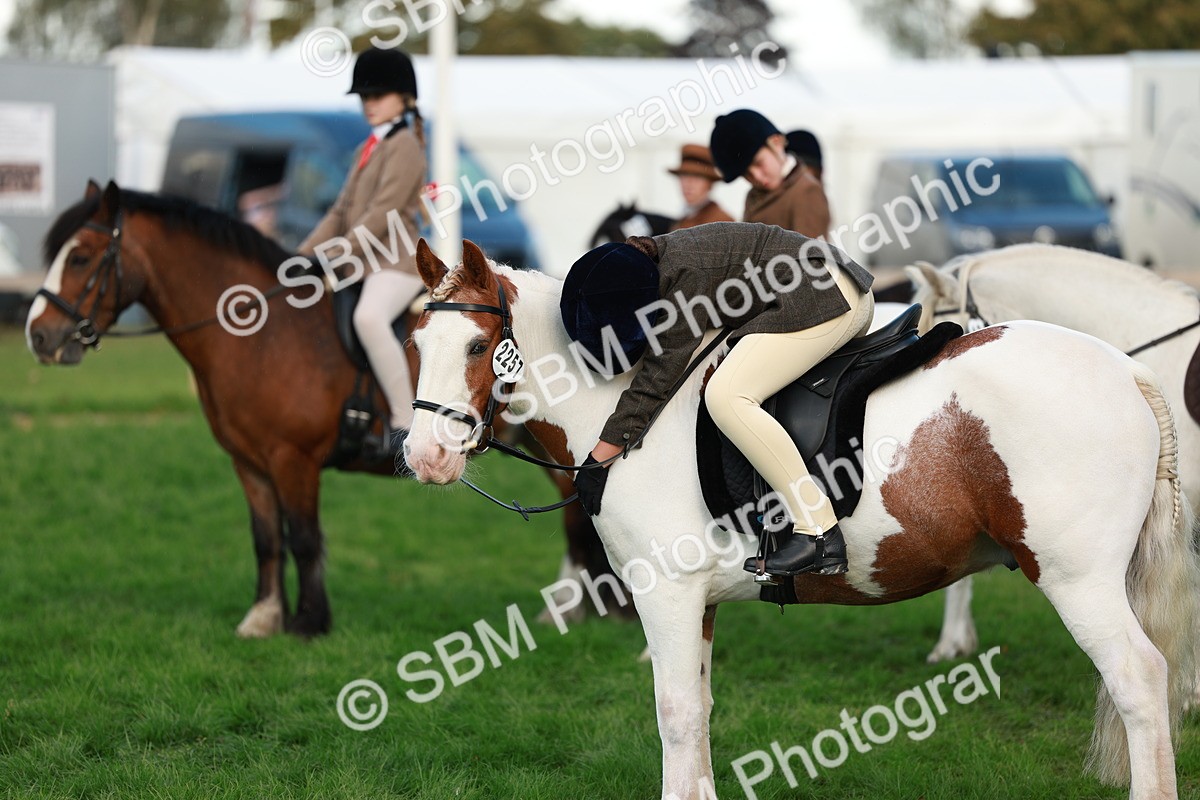 SBM_28823 - S7 - Novice & Newcomer Ridden Pony