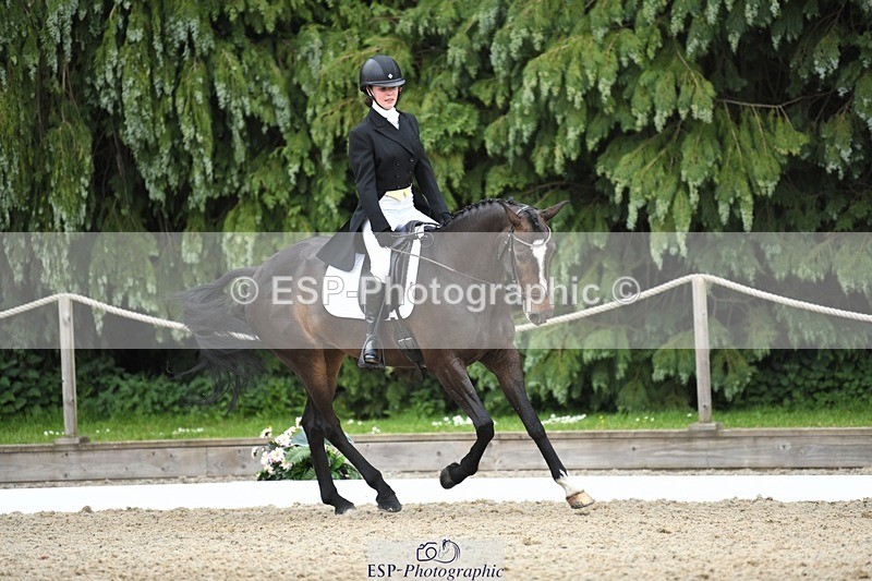 230525-142310-03136 - 320-CAVALIER_GUNFIRE-Tabitha_Baker-WEDTrotUp+DR