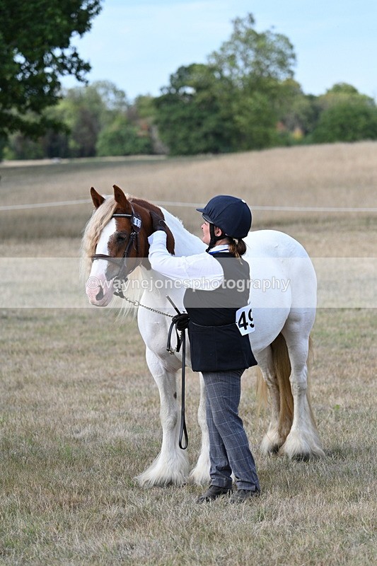 WJ7_8345 - In-hand Championship