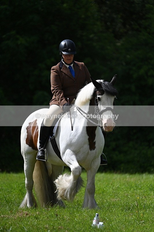 WJ7_1351 - Class 11 Condition & Turnout