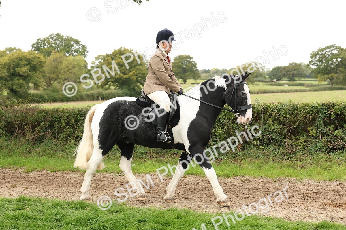 SBM_67204 - S67 - Piebald & Skewbald Horse Ridden
