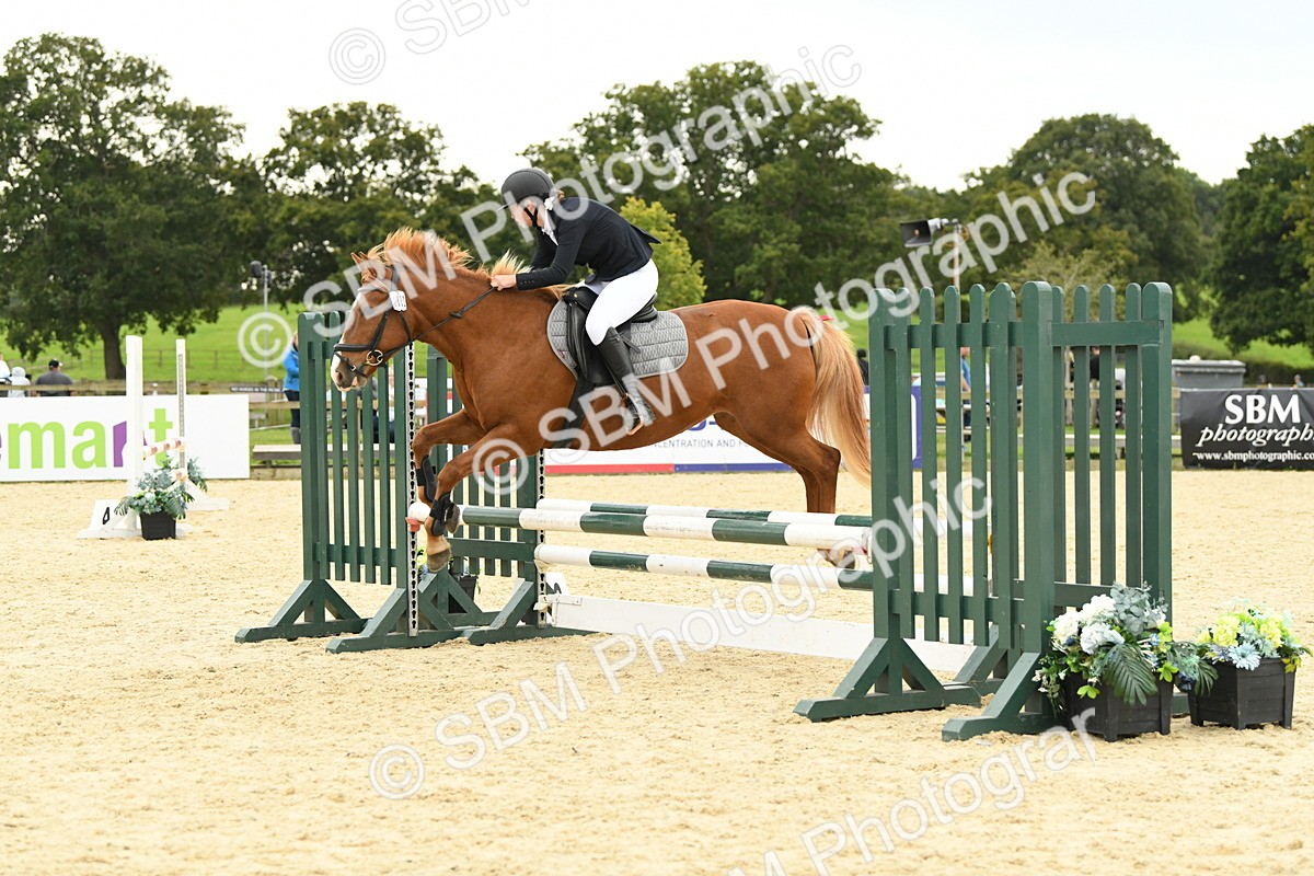 SBM_73273 - J16 - Junior Pony 75cm Championship