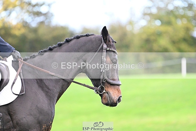 241025-093637-05820 - 442-Bethany.Hall-ZEPHYR.II