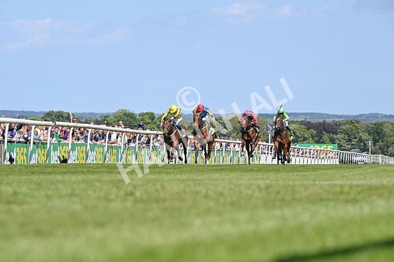 080624-Race 3-Shareholder-7296 - Race 3