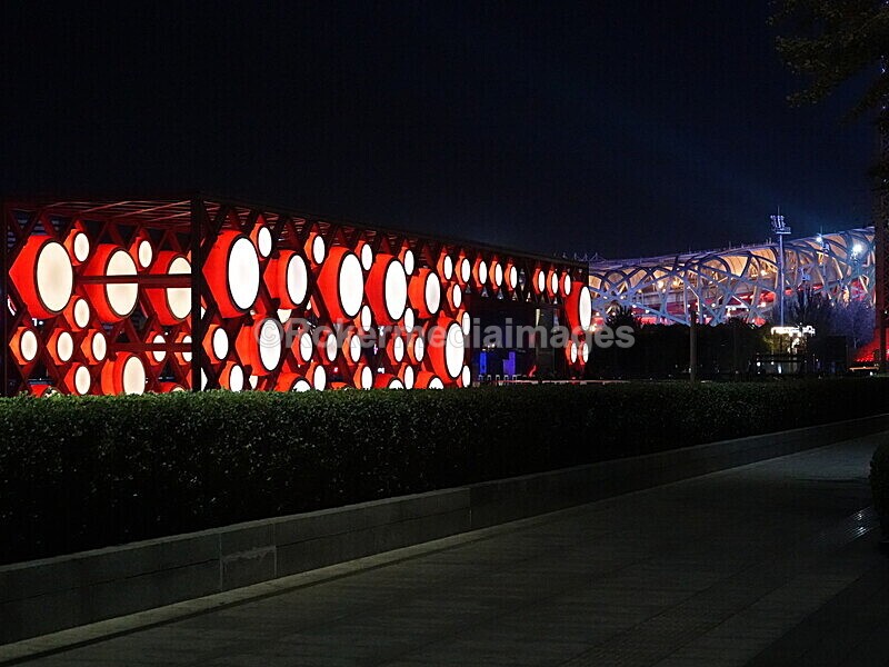 CHINA__1052 - China 2019