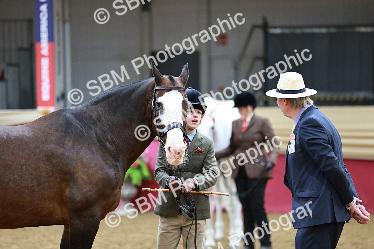 SBM_01252 - Class 3A - Area IH Pre-Vet