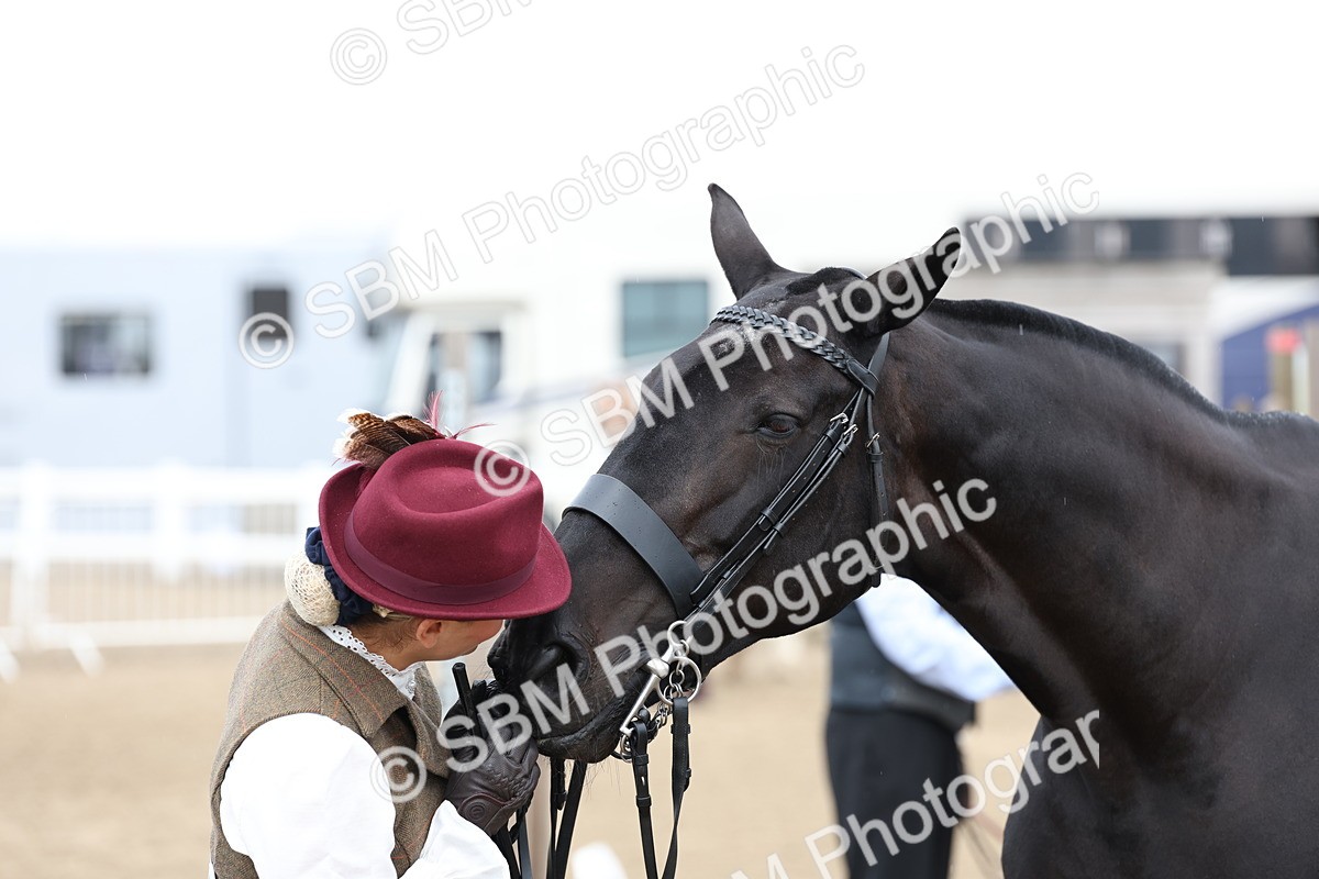 SBM_00093 - Class 50 - Best Turned Out IH