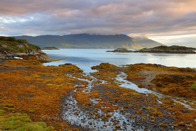 Loch Carron near Duirnish.    ref 9032 - Scotland