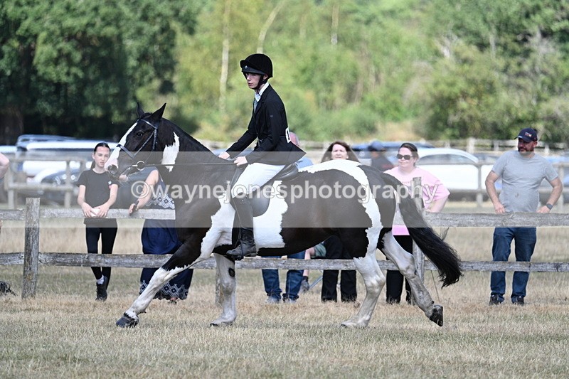 WJ7_3442 - Class 8 Ridden Veterans