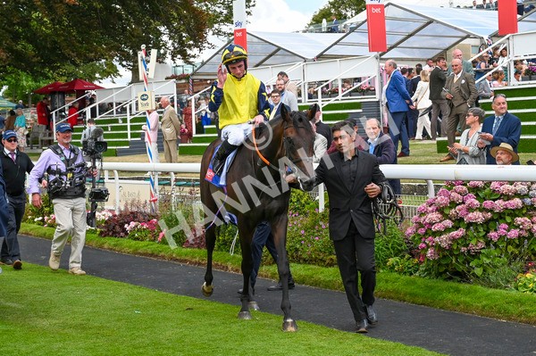 240824-Race 2-Tabletalk-0518 - Race 2 2.25pm Sky Bet Melrose Handicap