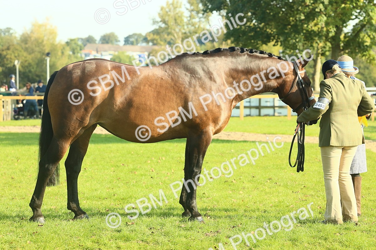 SBM_58628 - S37 - Starters In Hand Showing