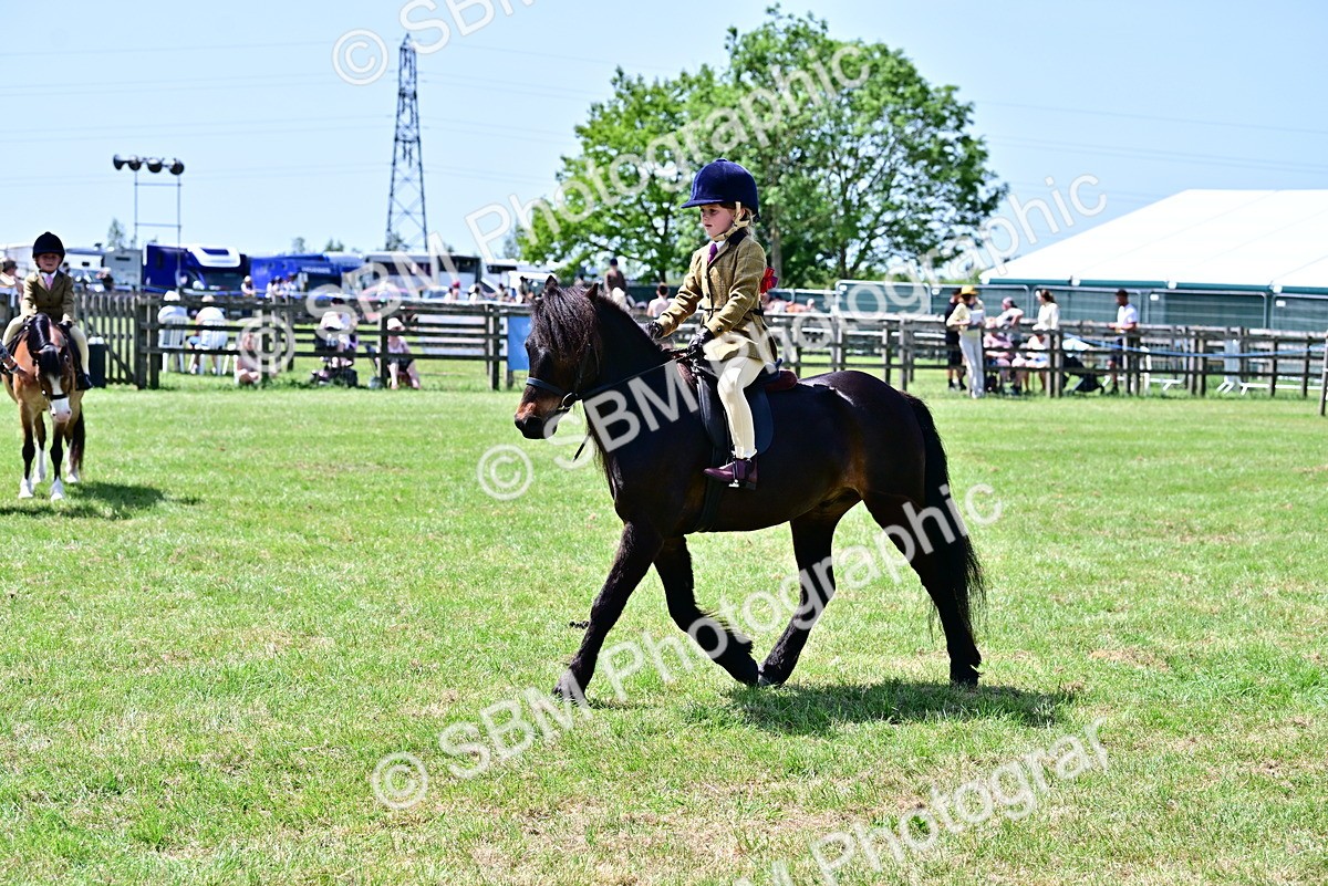 SBM_06098 - Class 59-60 - TSR M&M  Lear Rein and First Ridden Amateur of the year