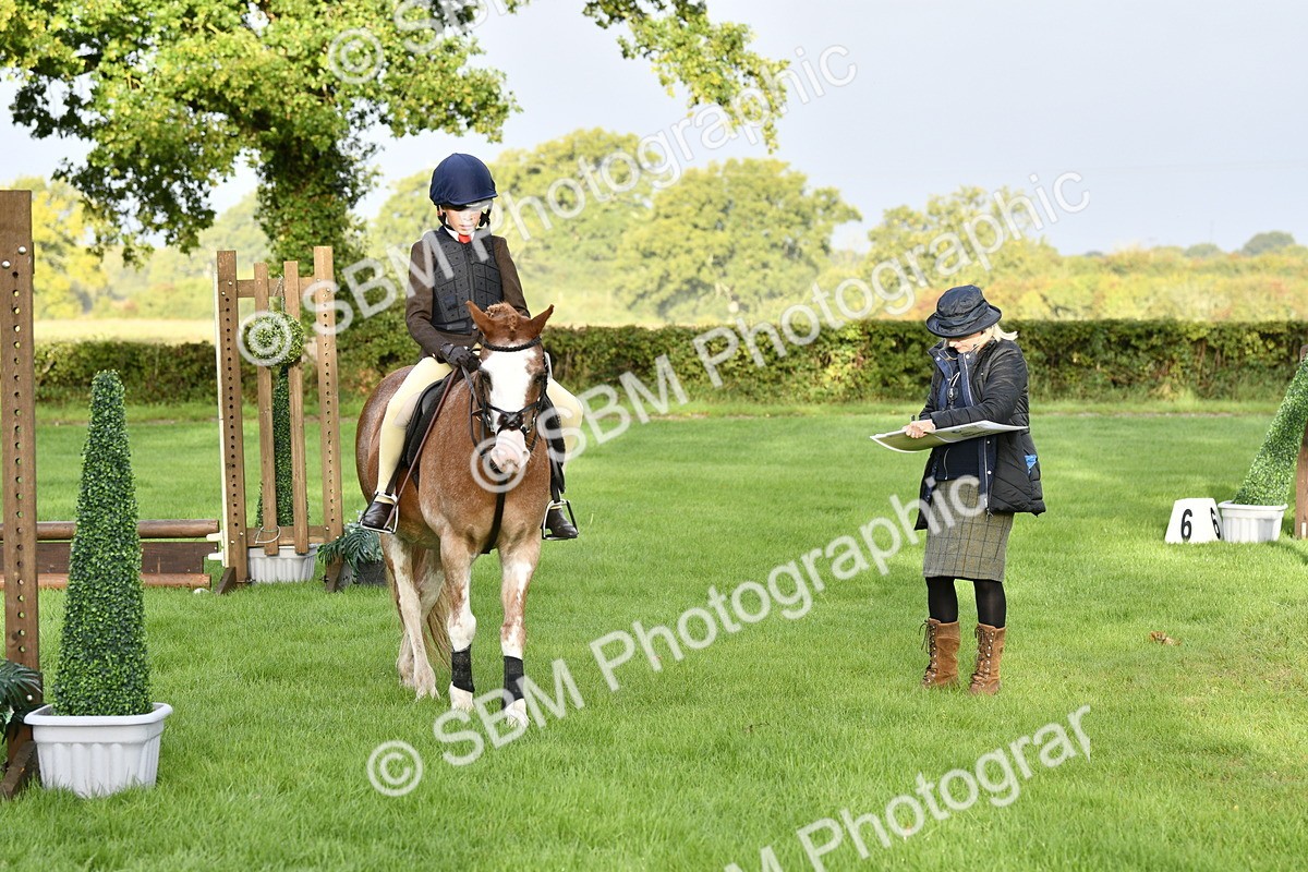 SBM_35406 - S30 - Nursery Stakes Working Hunter Pony