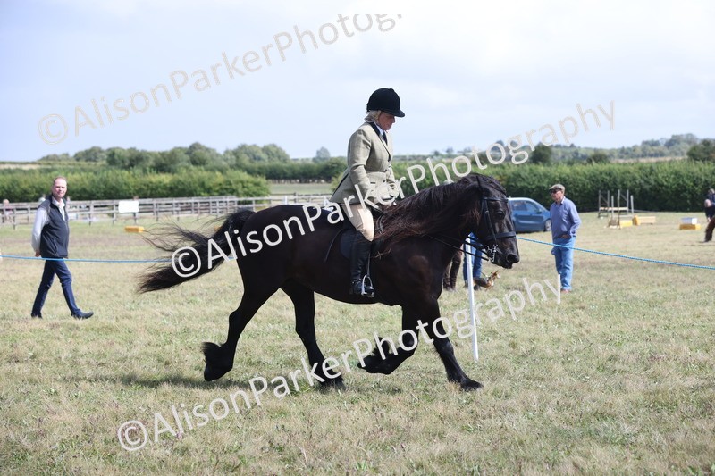 20250831-2916 - Class 19 - Mountain and Moorland