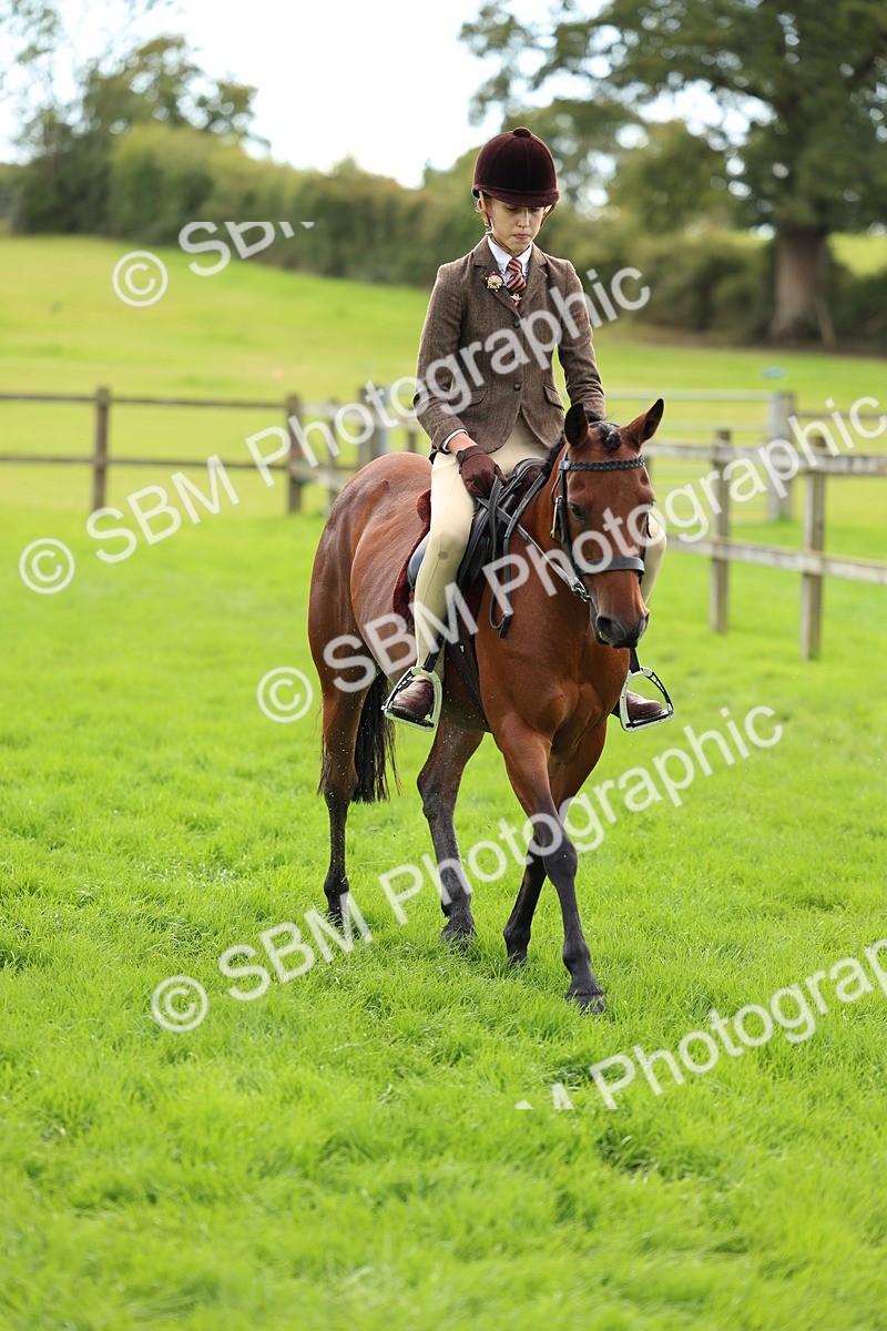 SBM_45393 - S33 - Working Hunter Pony