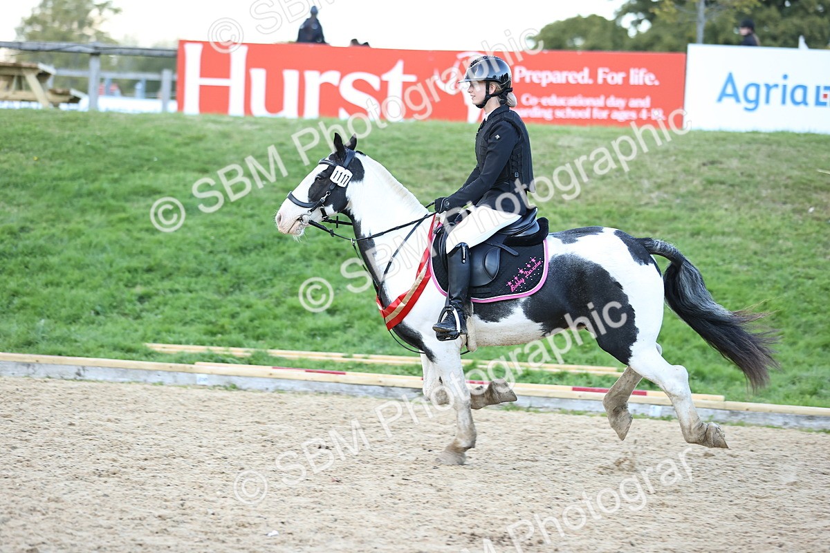SBM_54445 - Supreme Championship 70cm 75cm