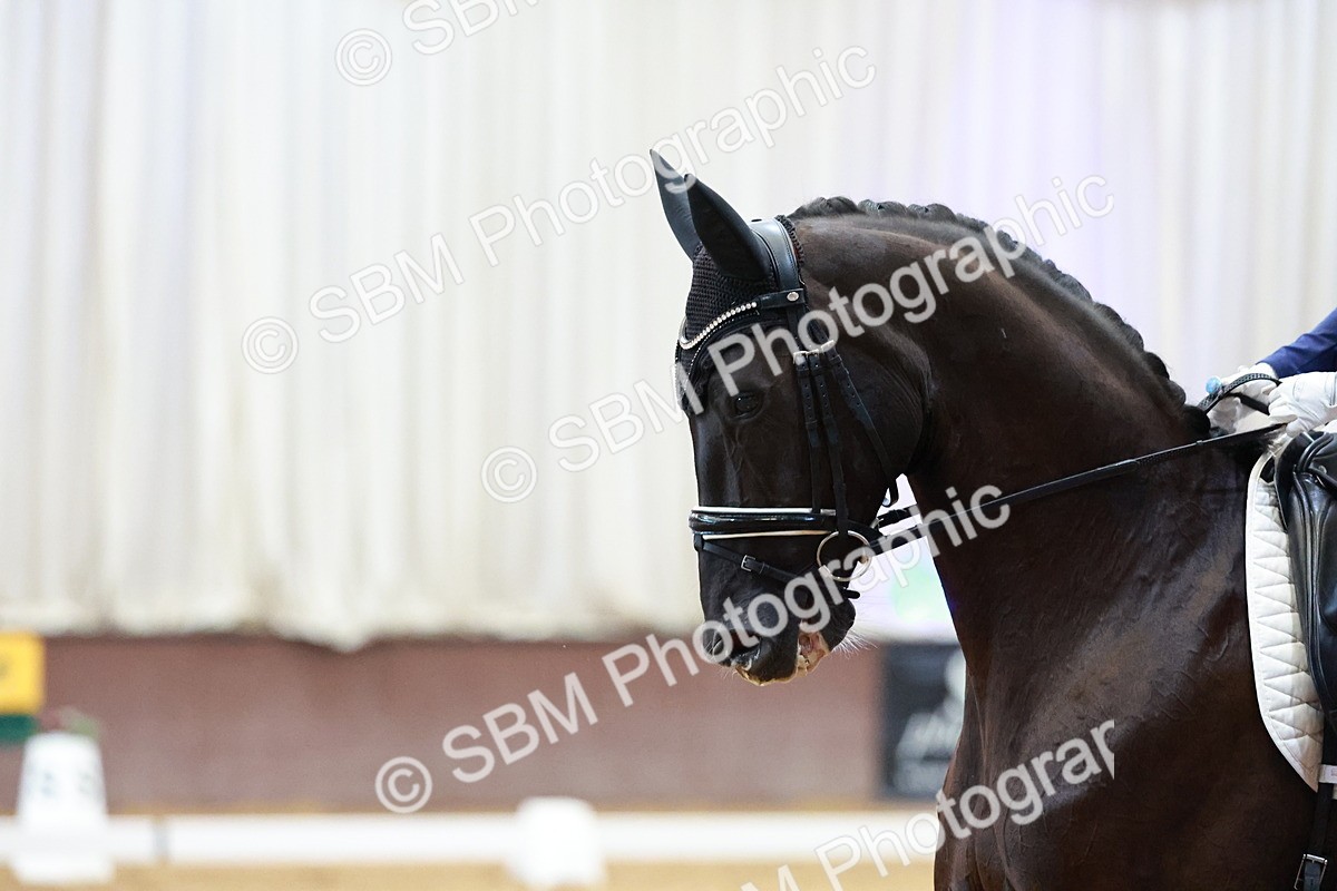 SBM_007874 - Class 9 - FEI INT II - 16.54.17.57