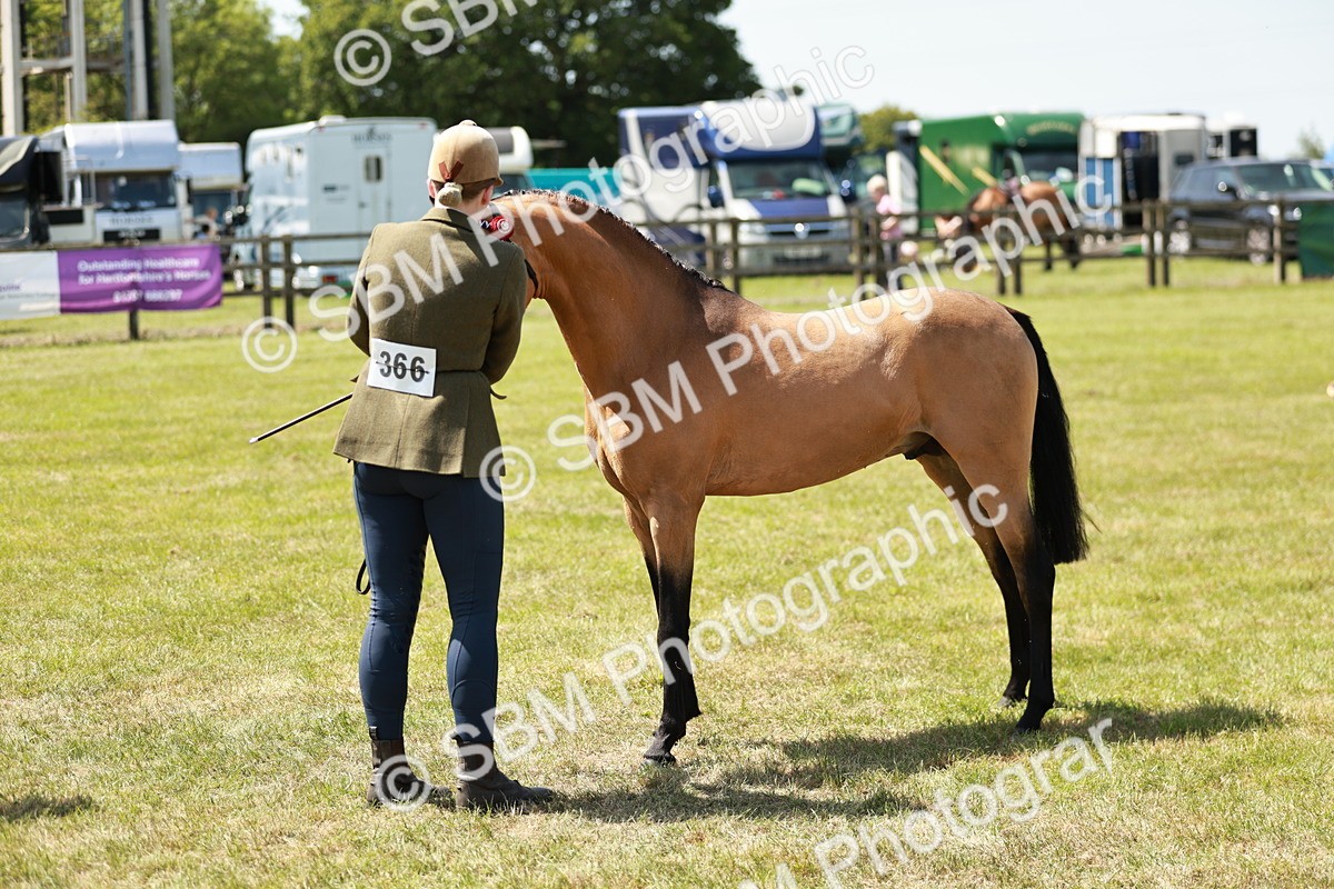 SBM_05569 - Class 41-45 - Riding Pony-Hunter Pony Breeding